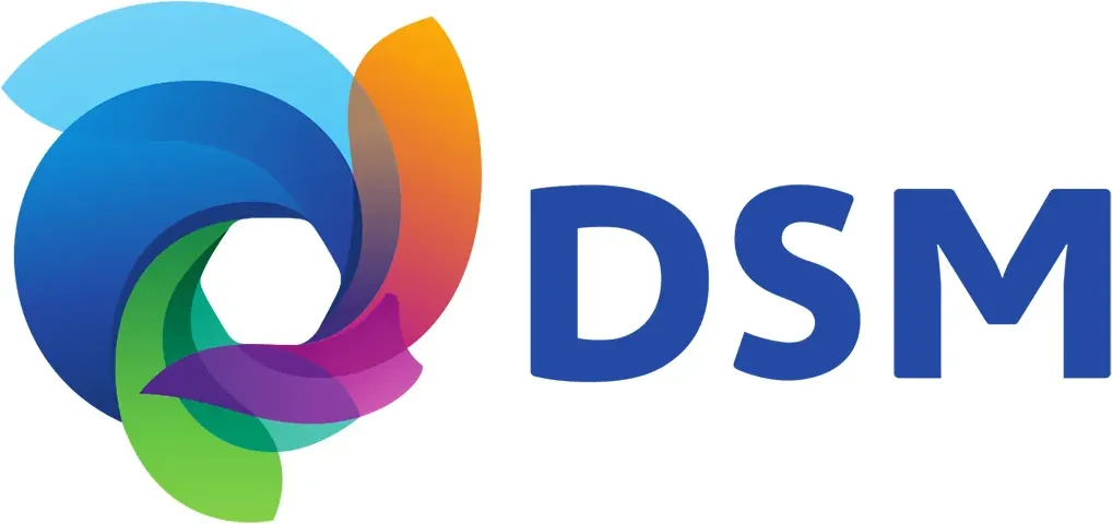DSM